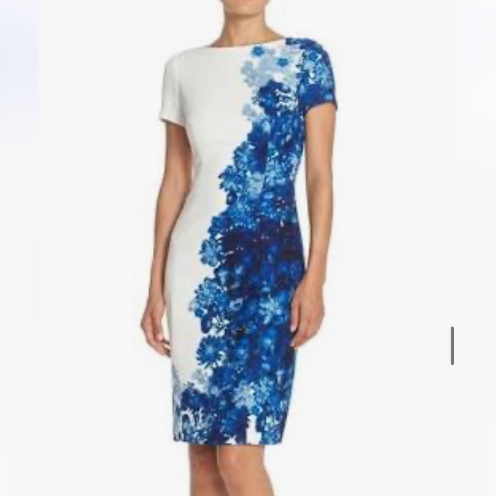 Adrianna Papell dress